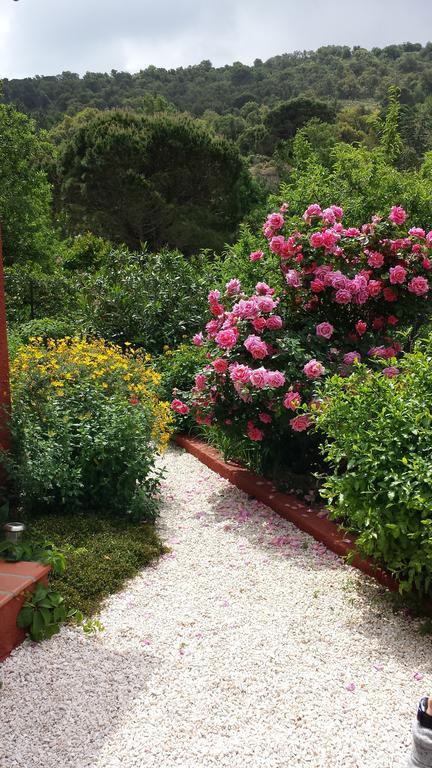 Villa Bougainvilliers Баніюль-сюр-Мер Номер фото